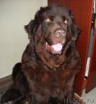 Превью фото № 37142