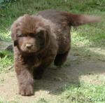 Превью фото № 37195