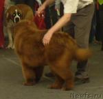 Превью фото № 3727