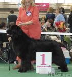 Превью фото № 37363