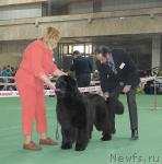 Превью фото № 37364