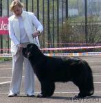 Превью фото № 3739