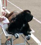 Превью фото № 3740