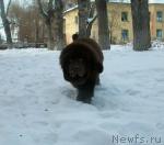 Превью фото № 37409