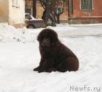 Превью фото № 37414