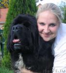 Превью фото № 3742