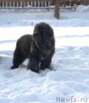 Превью фото № 37792