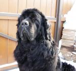 Превью фото № 38088