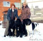 Превью фото № 38116