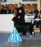 Превью фото № 38118