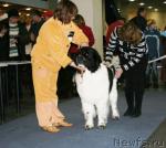 Превью фото № 38125