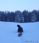 Превью фото № 38294