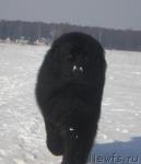 Превью фото № 38489