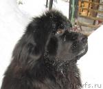 Превью фото № 38543