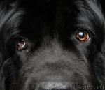 Превью фото № 38553