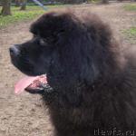 Превью фото № 3893