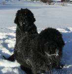 Превью фото № 39120