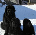 Превью фото № 39188