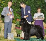 Превью фото № 392