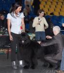 Превью фото № 39290