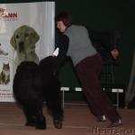 Превью фото № 39314