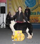 Превью фото № 39328