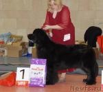 Превью фото № 39440