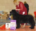 Превью фото № 39441