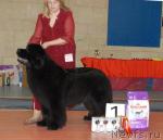 Превью фото № 39444