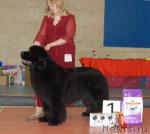 Превью фото № 39445