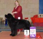 Превью фото № 39448