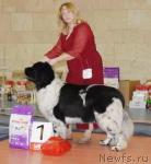 Превью фото № 39453