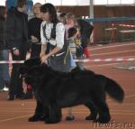 Превью фото № 39474