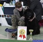 Превью фото № 39602