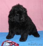 Превью фото № 39669