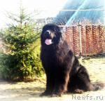 Превью фото № 39921