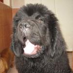 Превью фото № 3993