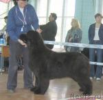 Превью фото № 3994