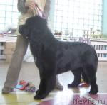 Превью фото № 4001