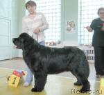 Превью фото № 4014