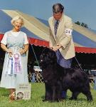 Превью фото № 403