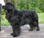 Превью фото № 407