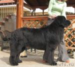 Превью фото № 40734