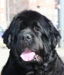 Превью фото № 40743