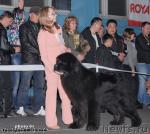 Превью фото № 40759