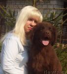 Превью фото № 40775