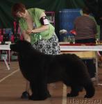 Превью фото № 40823