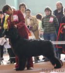 Превью фото № 40824