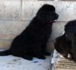 Превью фото № 40826