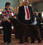 Превью фото № 40829